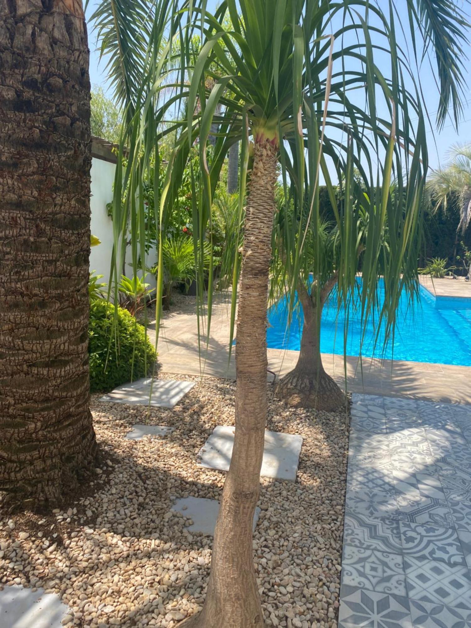 Bohospanishvilla Moraira Exterior foto